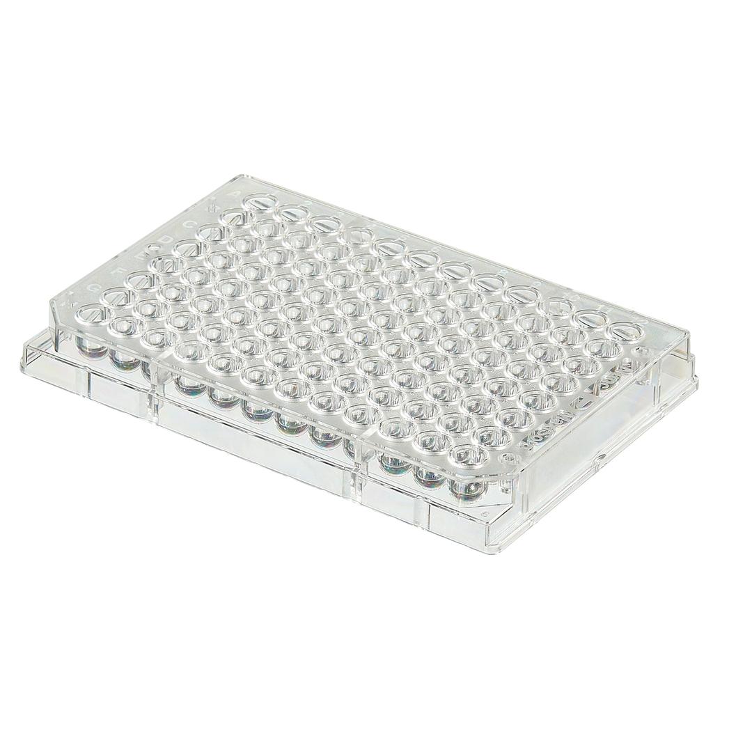Clear Round-Bottom Immuno Nonsterile 96-Well Plates - Thermo Fisher Scientific - Clinical Diagnostics