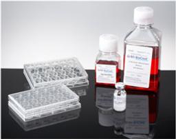 Corning® Intestinal Epithelium Differentiation Environment, Kit - Corning Life Sciences - Life Sciences