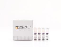 EasySep™ Human Memory CD8+ T Cell Enrichment Kit - STEMCELL Technologies Inc. - Life Sciences