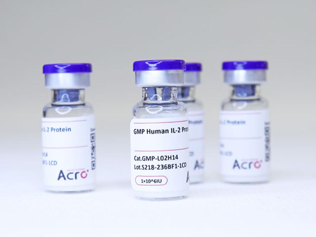 GMP Human IL-2 Protein - ACROBiosystems - Drug discovery > Drug Manufacturing