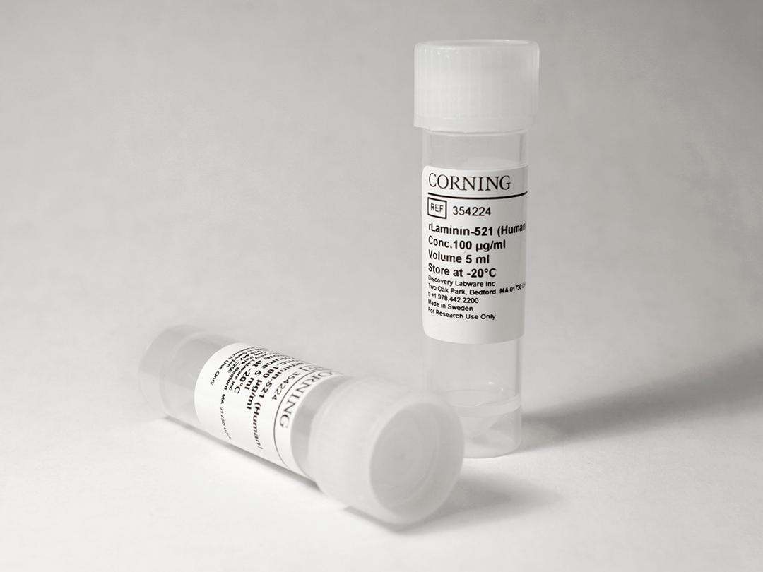 Corning® rLaminin-521, Human, 500µg Vial - Corning Life Sciences - Life Sciences