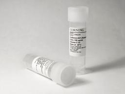 Corning® rLaminin-521, Human, 500µg Vial - Corning Life Sciences - Life Sciences