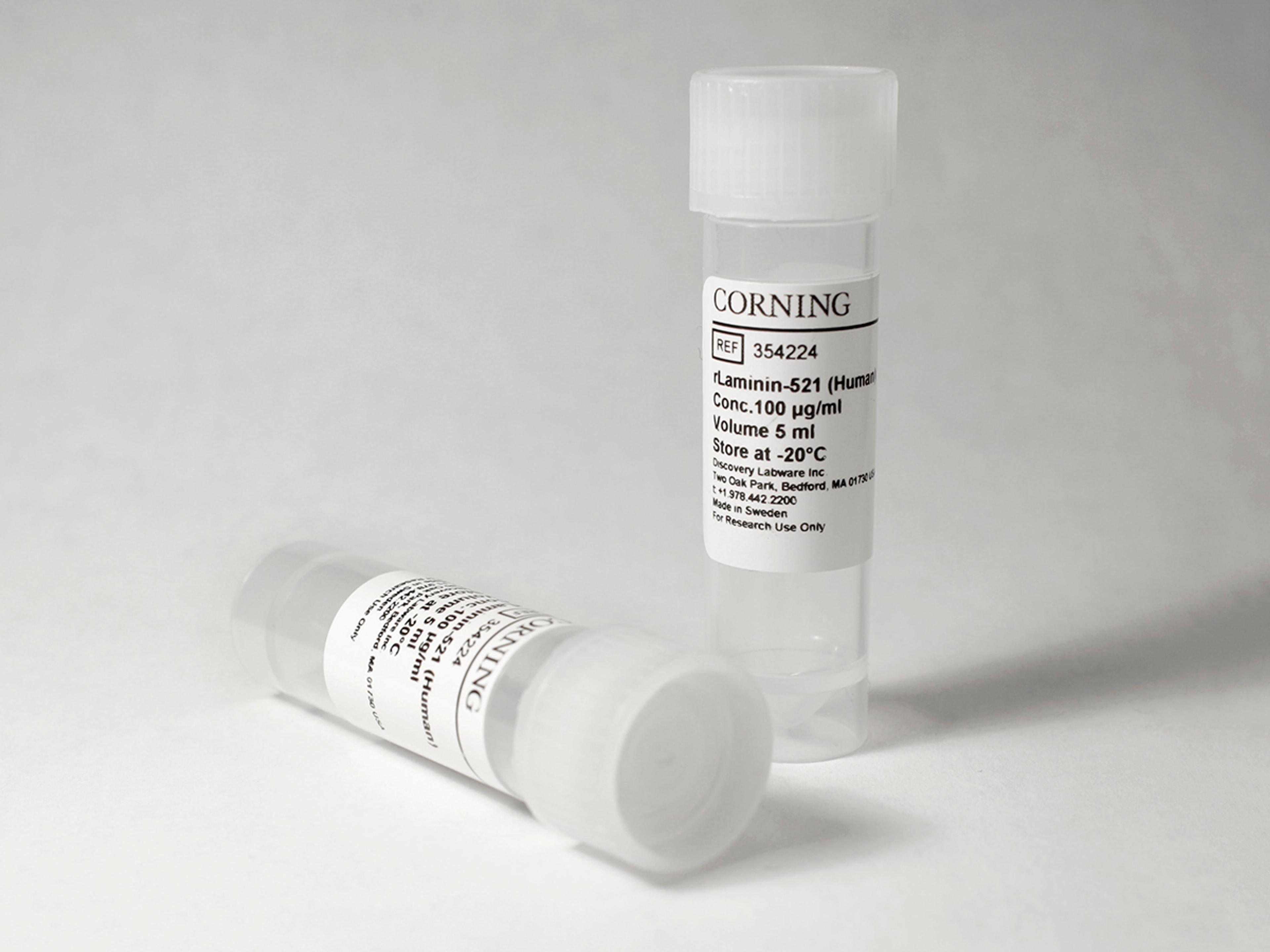 Corning® rLaminin-521, Human, 500µg Vial - Corning Life Sciences - Life Sciences