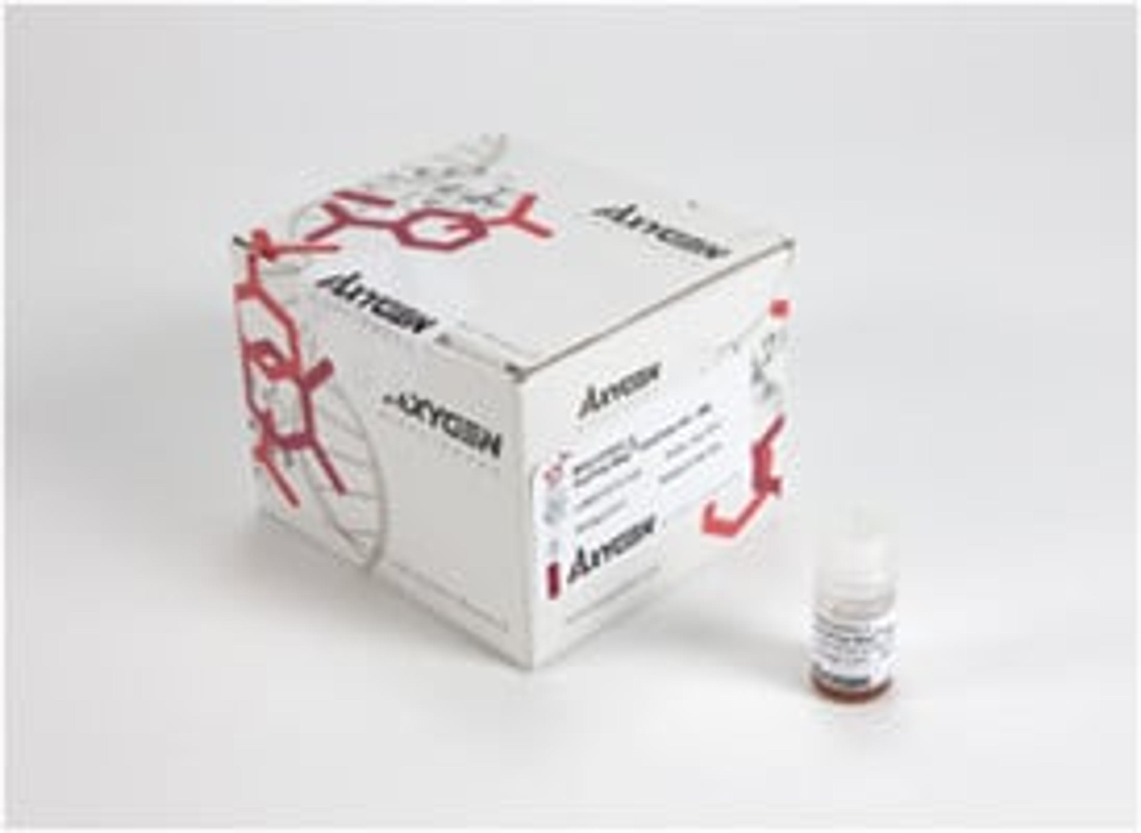 Axygen® AxyPrep MAG DyeClean-Up Kit - Corning Life Sciences - Life Sciences