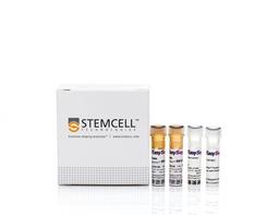 EasySep™ Anti-Rat IgG2b Positive Selection Kit - STEMCELL Technologies Inc. - Life Sciences