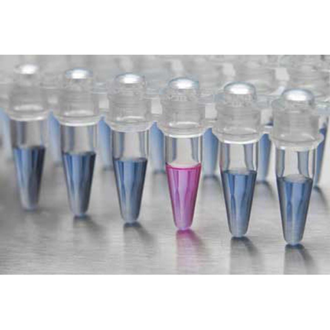 COVID-19 Rapid Isothermal PCR Kit - RayBiotech Inc.