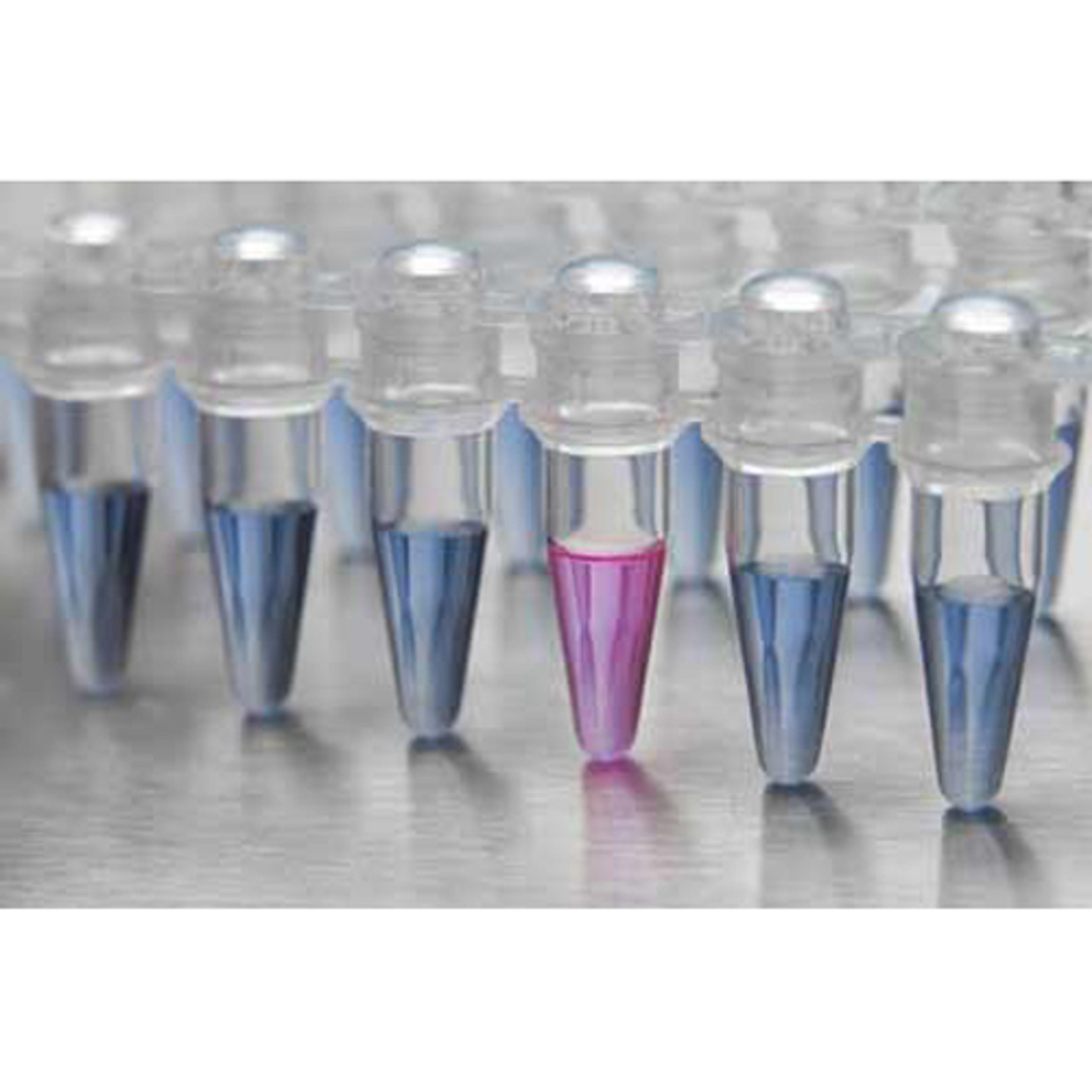 COVID-19 Rapid Isothermal PCR Kit - RayBiotech Inc.