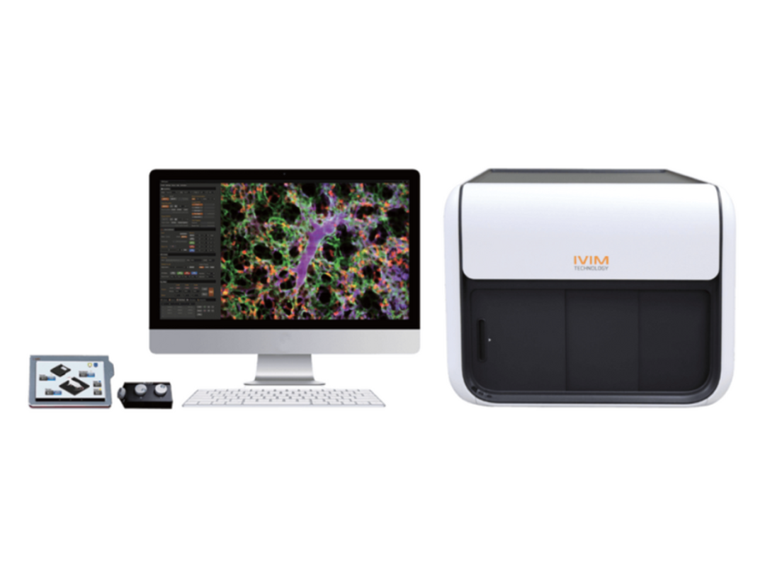 Intravital Microscopy System Two-Photon and Confocal Microscopy System for Live Animal Imaging - Scintica - Life Sciences