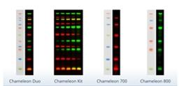 Chameleon NIR Pre-stained Protein Ladders - LICORbio - Life Sciences