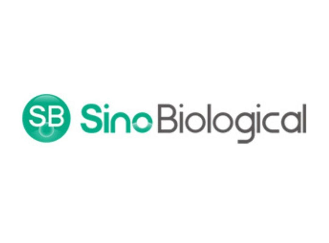Antibody Humanization Service - Sino Biological - Life Sciences