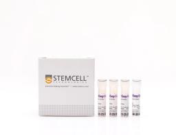 EasySep™ Human CD8+ T Cell Enrichment Kit - STEMCELL Technologies Inc. - Life Sciences