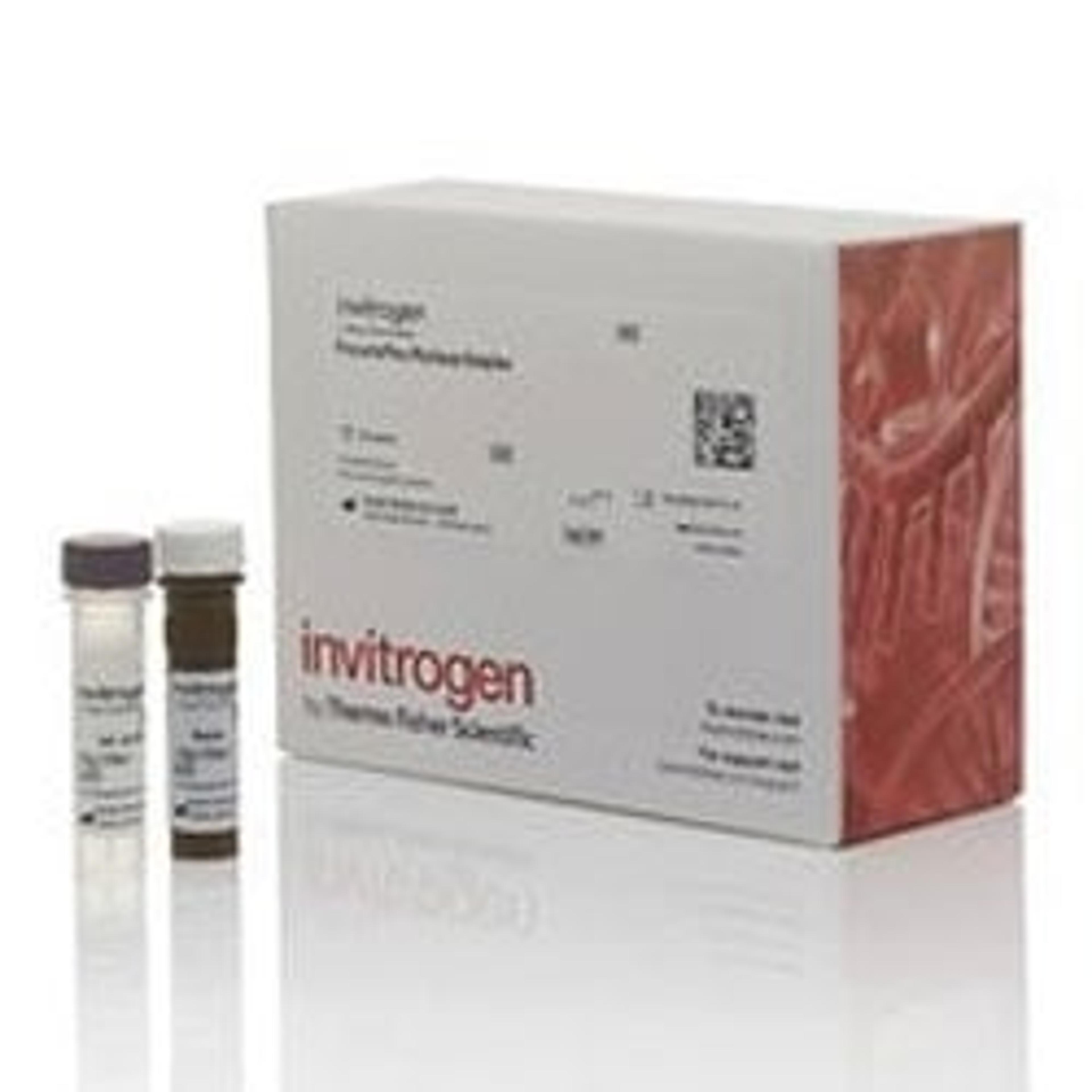 Invitrogen™ MER (MerTK) Human ProcartaPlex™ Simplex Kit - Thermo Fisher Scientific - Clinical Diagnostics