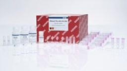 RNeasy Plus Mini Kit (50) - QIAGEN