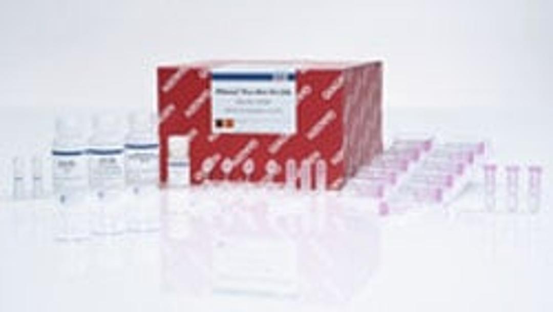 RNeasy Plus Mini Kit (50) - QIAGEN