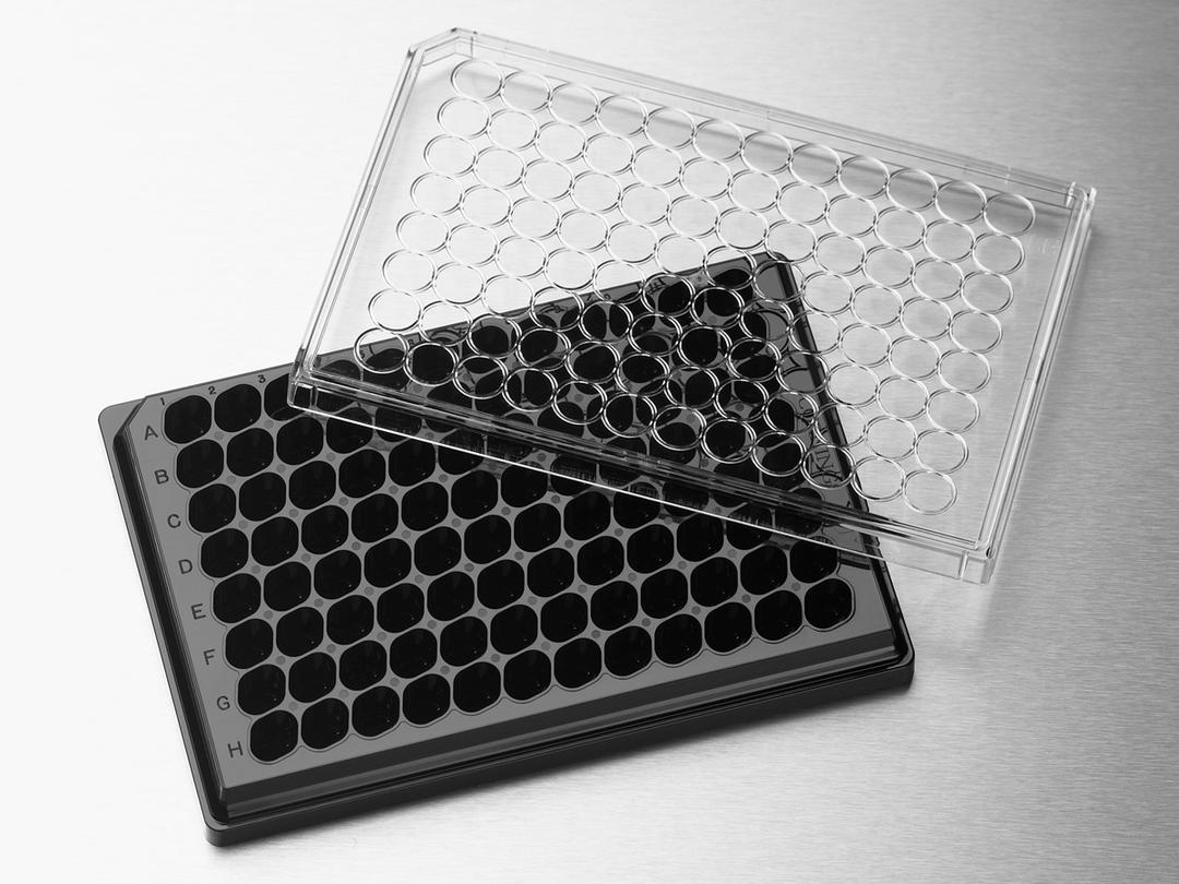HTS Transwell®-96 Receiver Plate, Black, TC-treated, Sterile - Corning Life Sciences - Life Sciences