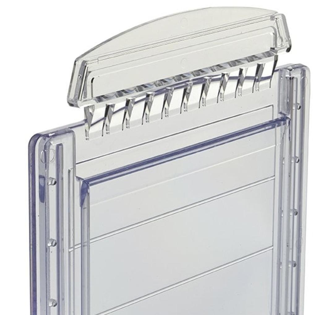 Invitrogen™ Bolt™ Bis-Tris Plus Gels - Thermo Fisher Scientific - Life Sciences