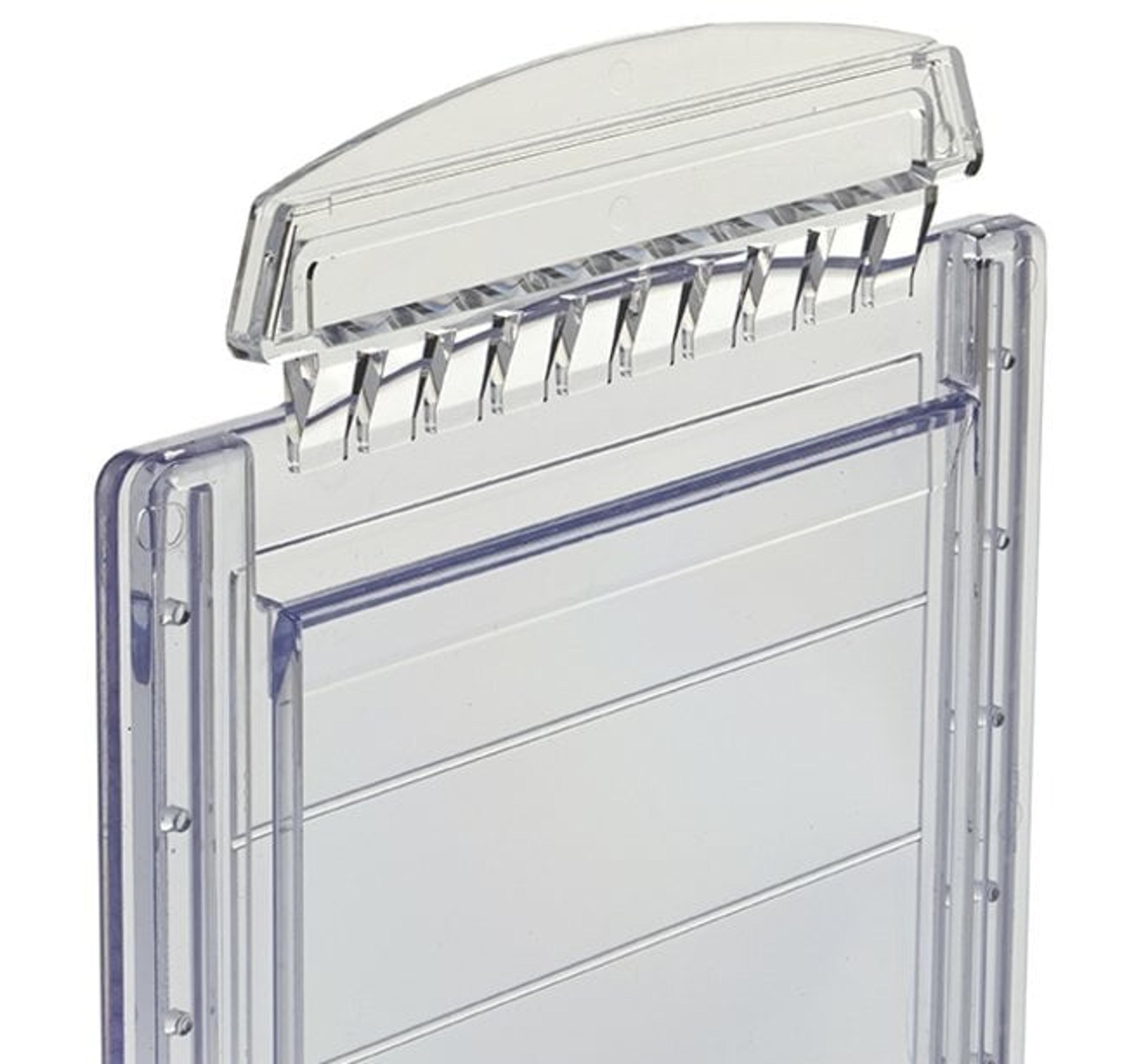 Invitrogen™ Bolt™ Bis-Tris Plus Gels - Thermo Fisher Scientific - Life Sciences