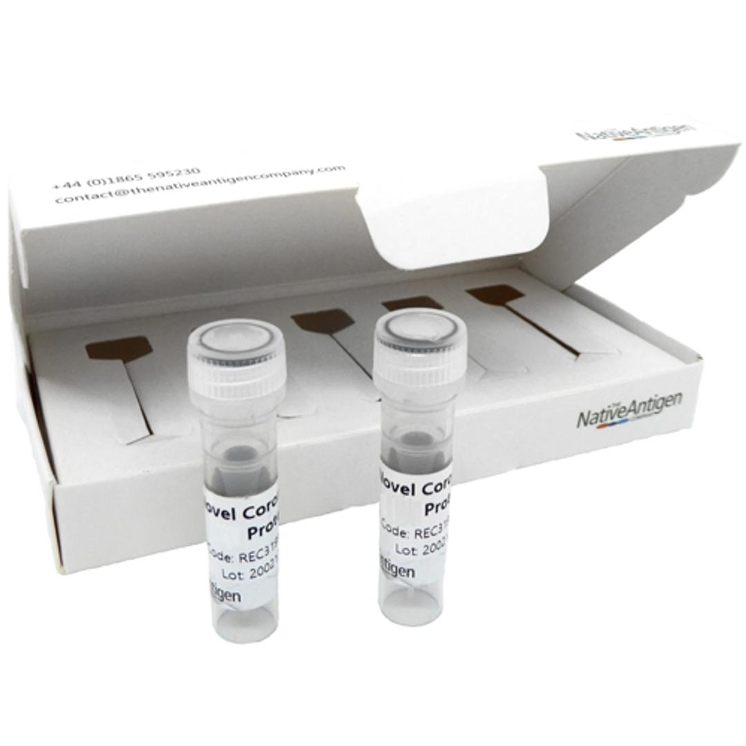 SARS-CoV-2 Spike-E-M Mosaic Protein, His-Tag (E. coli) - The Native Antigen Company - Life Sciences