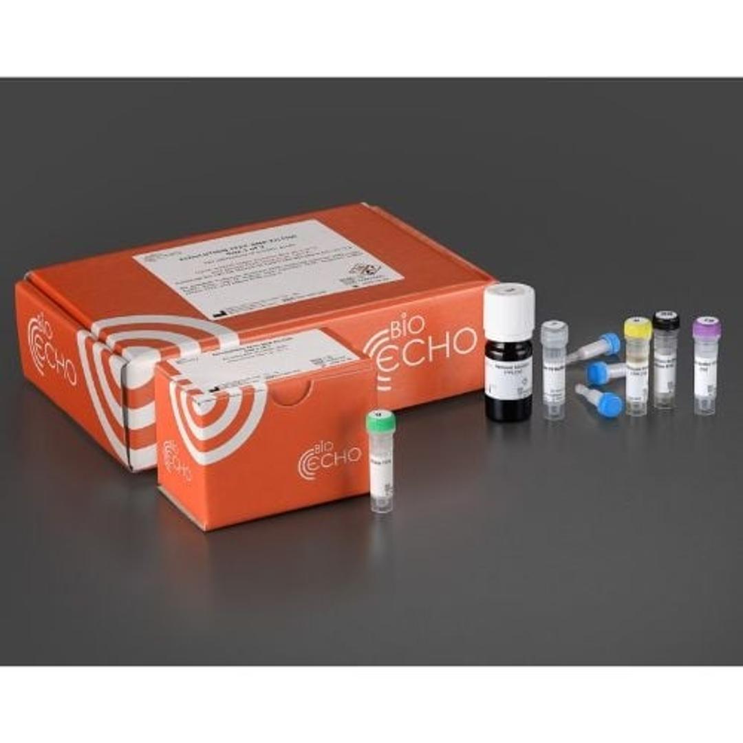 EchoLUTION FFPE RNA Kit - BioEcho Life Sciences GmbH - Life Sciences