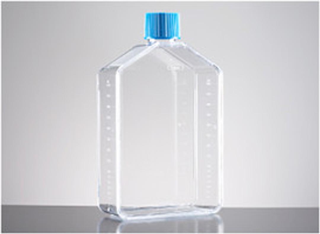 Corning® BioCoat™ Poly-D-Lysine 175cm² Flask with Vented Cap - Corning Life Sciences - Life Sciences