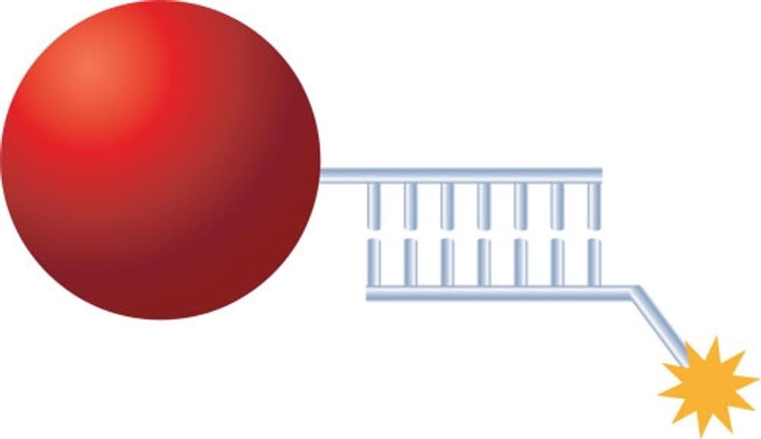 MicroPlex® Multiplexing Microspheres - Luminex - Life Sciences