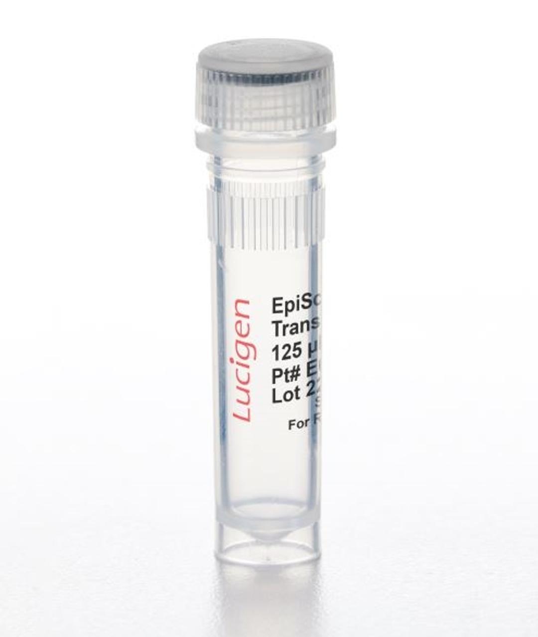 EpiScript™ RNase H- Reverse Transcriptase - LGC Biosearch Technologies - Life Sciences