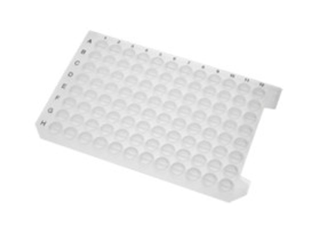 Axygen® AxyMats™ 96 Round Well Sealing Mat for Deep Well Plate, Sterile - Corning Life Sciences - Life Sciences