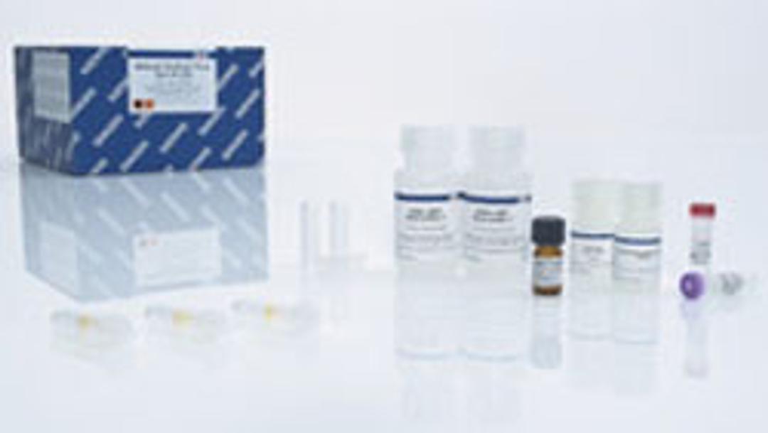 QIAamp MinElute Virus Vacuum Kit (50) - QIAGEN