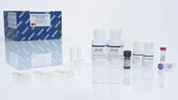 QIAamp MinElute Virus Vacuum Kit (50) - QIAGEN