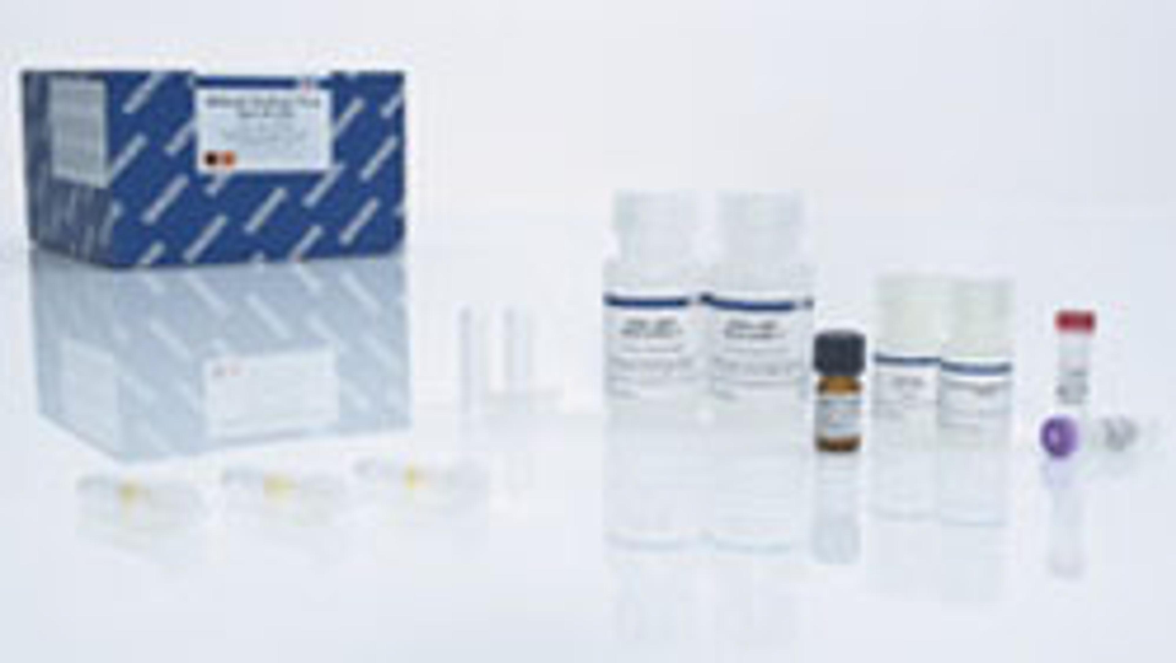 QIAamp MinElute Virus Spin Kit (50) - QIAGEN