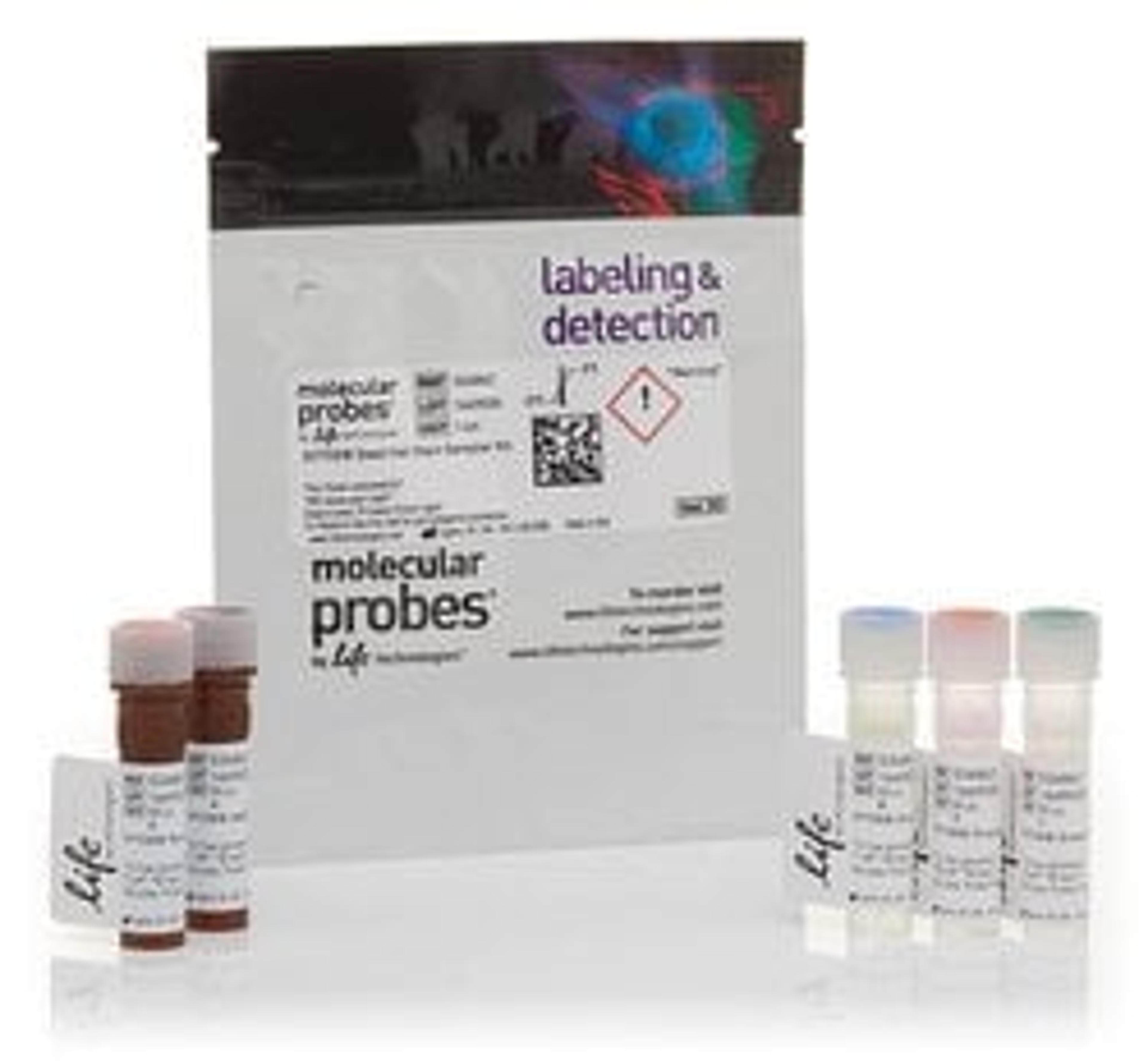 Invitrogen™ SYTOX™ Dead Cell Stain Sampler Kit - Thermo Fisher Scientific - Life Sciences