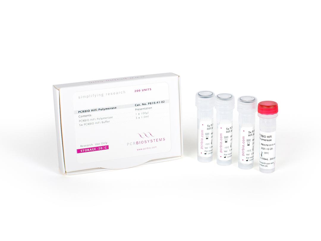 Enhanced processivity in PCR