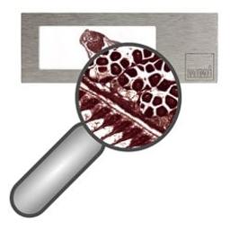 The most versatile Whole Slide Imaging system