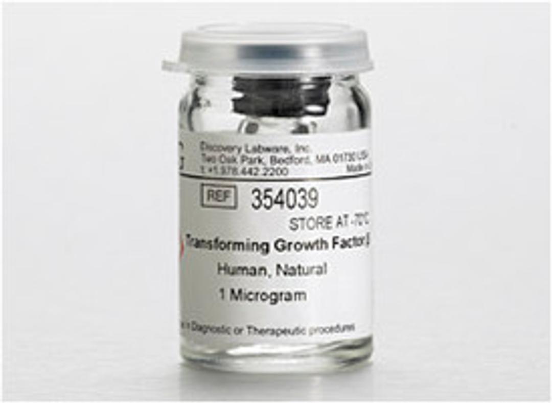 Corning® Transforming Growth Factor-b (TGF-b), Human Natural, 1µg, 1/Pack - Corning Life Sciences - Life Sciences