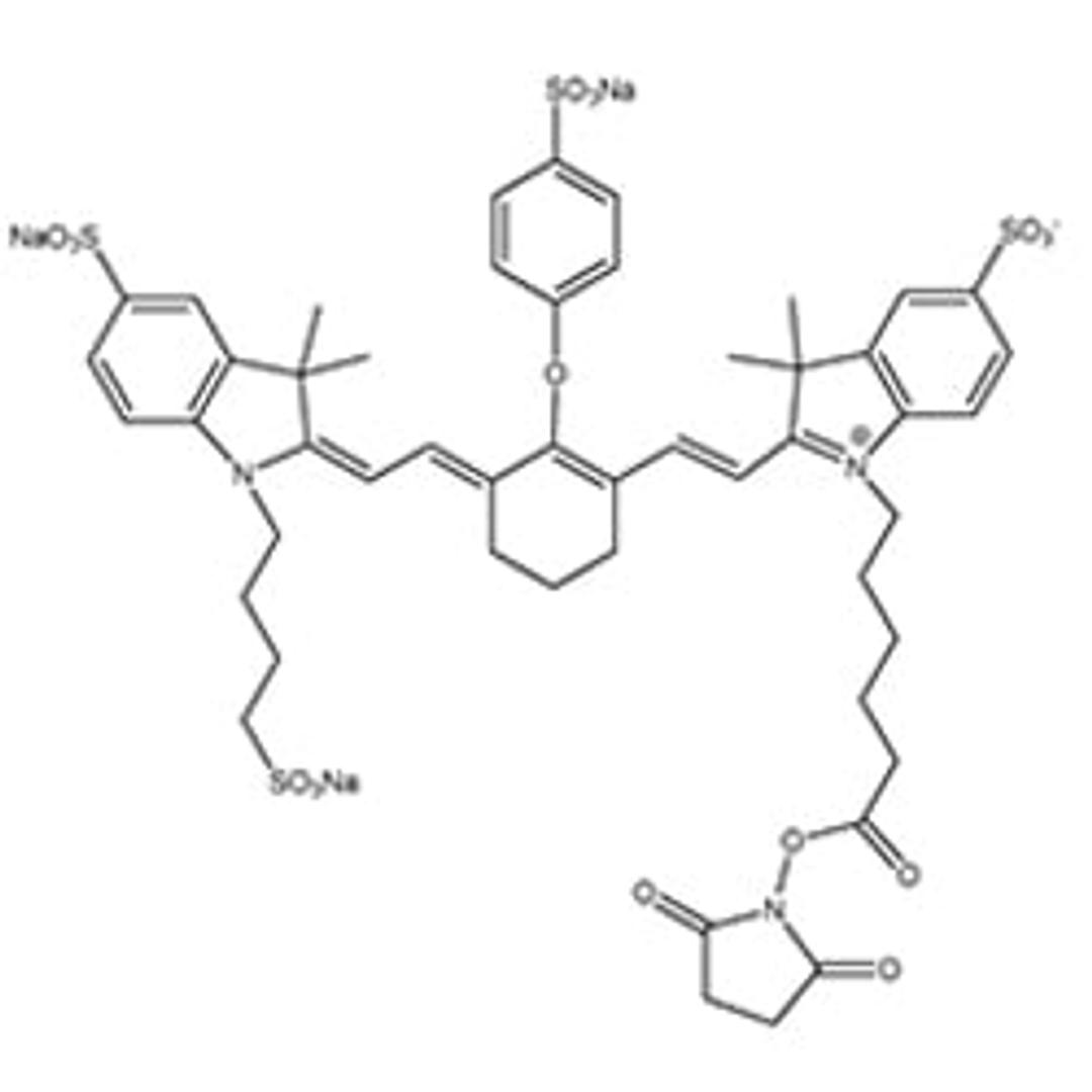 IRDye 800CW Infrared Dyes - LICORbio - Life Sciences