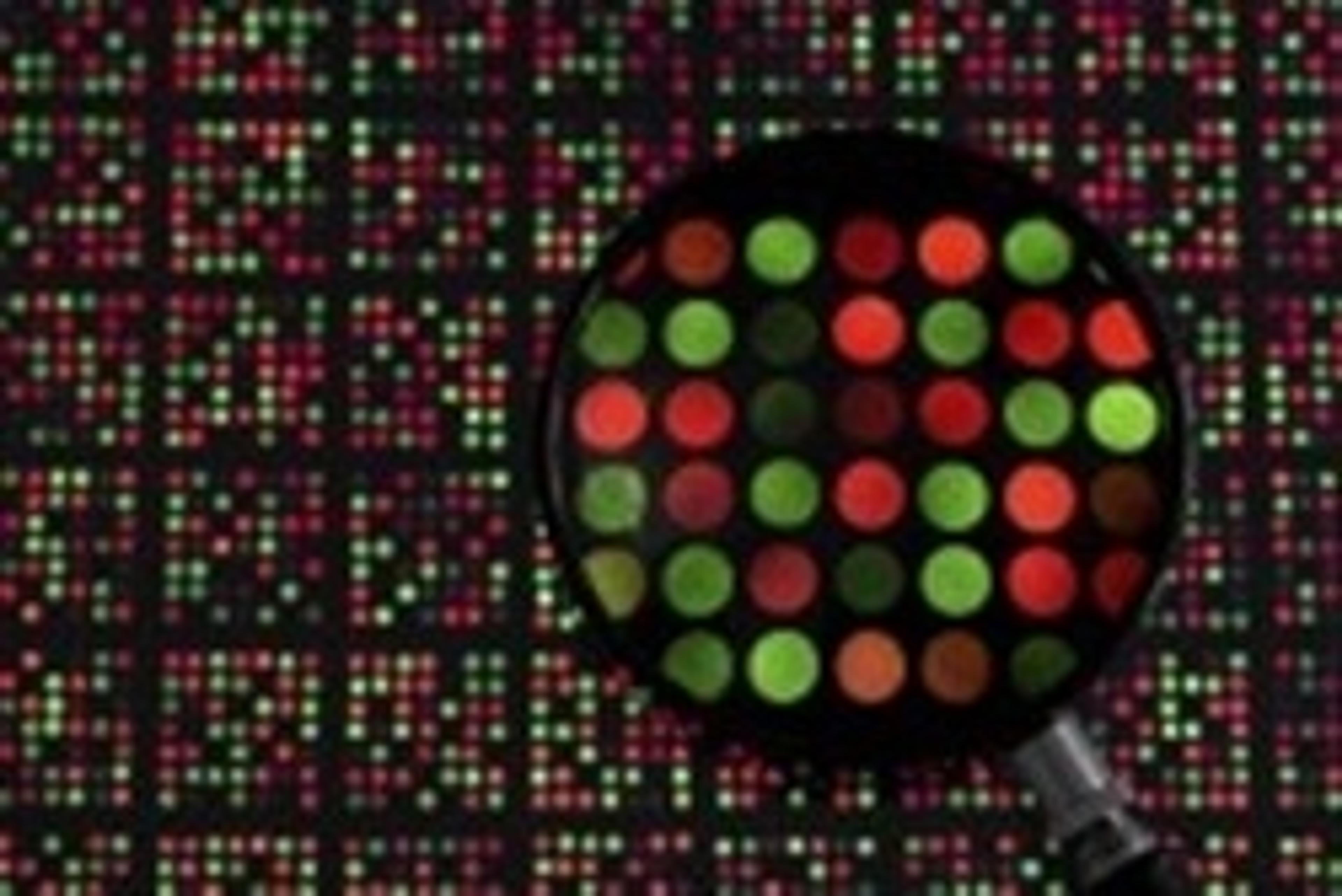 Source BioScience Gene Expression - Source BioScience - Life Sciences