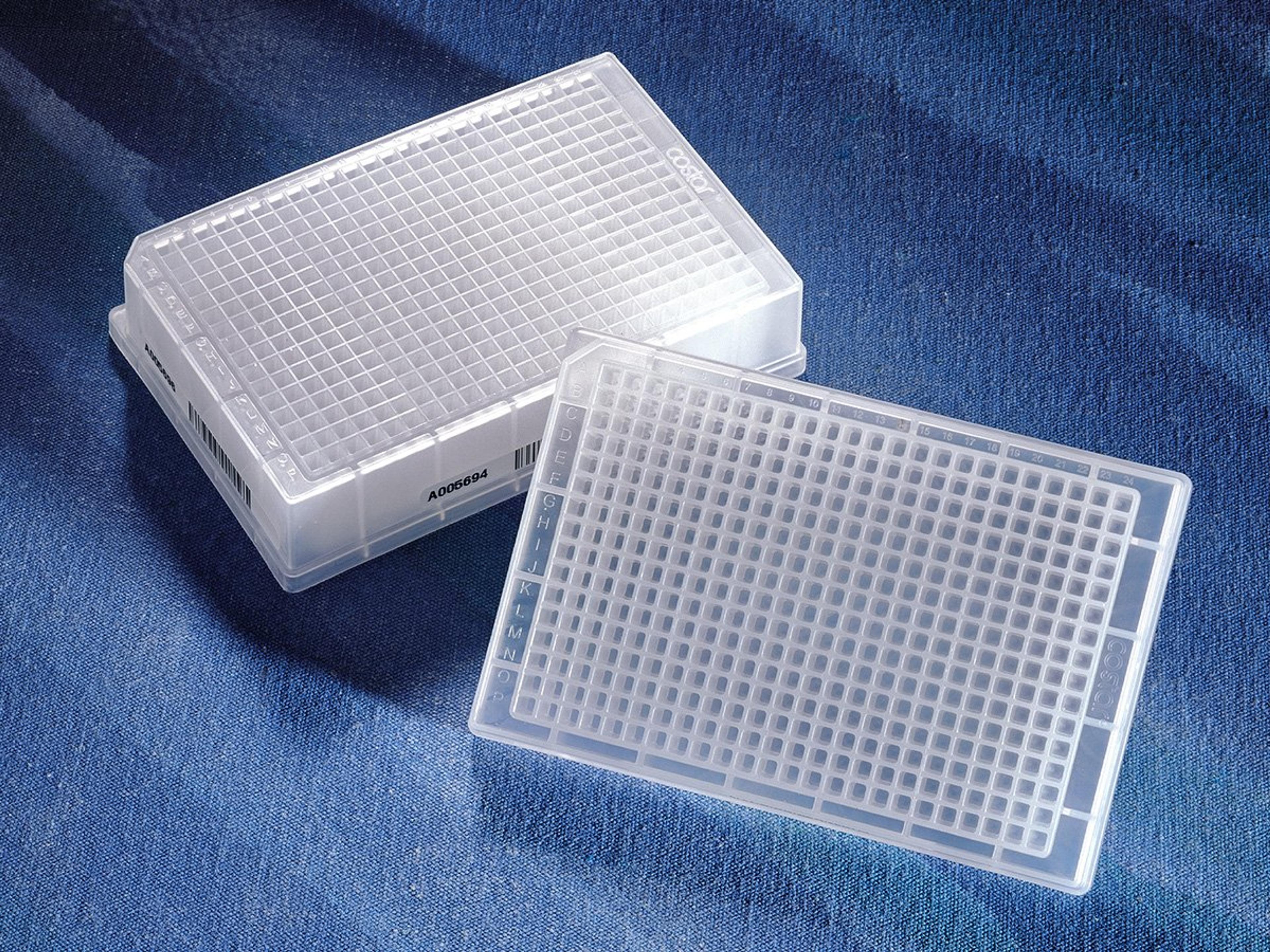 Corning® 384-well Clear Round Bottom Polypropylene Not Treated Deep Well Plate, Square Well, 5 per Bag, Sterile - Corning Life Sciences - Life Sciences