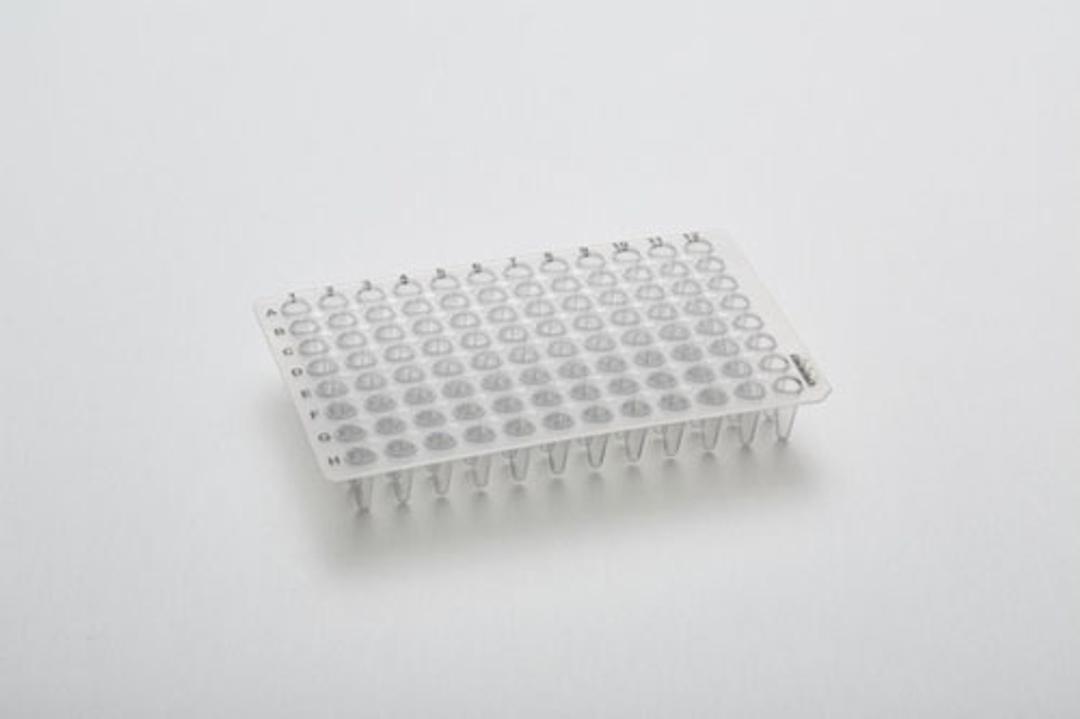 Non-Skirted PCR Plates - Starlab - Life Sciences