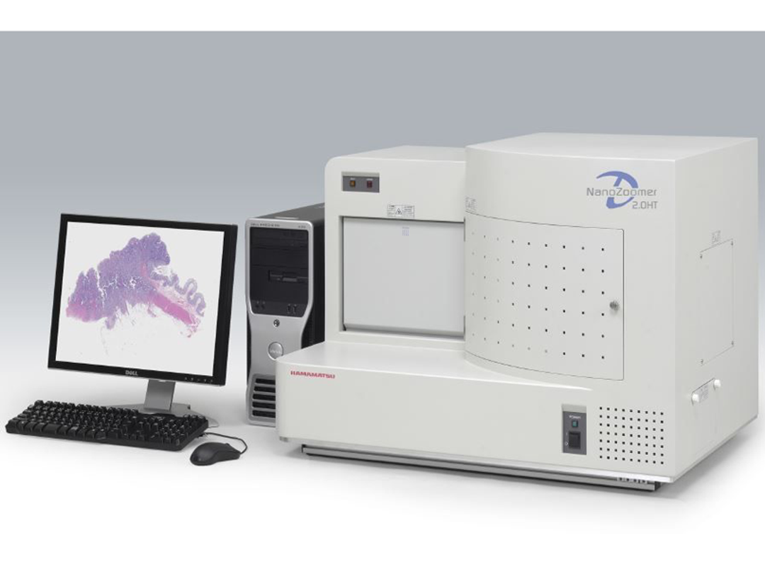 Digital Pathology Services - The Niche CRO Group - Life Sciences
