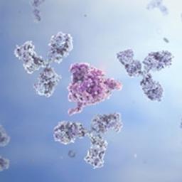 Host cell protein (HCP) ELISA detection kits - AMSBIO - Life Sciences