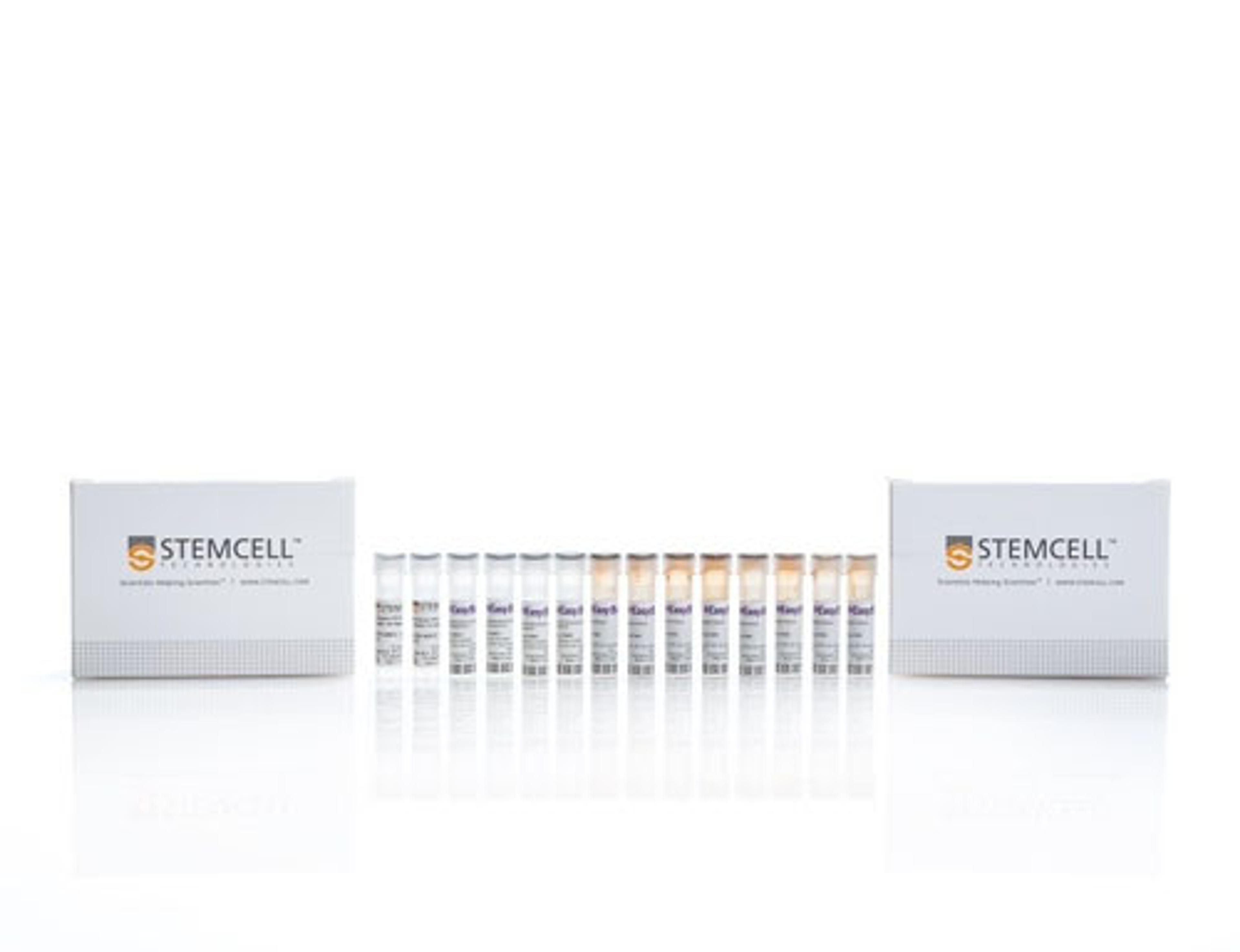 EasySep™ Human Plasmacytoid DC Enrichment Kit - STEMCELL Technologies Inc. - Life Sciences