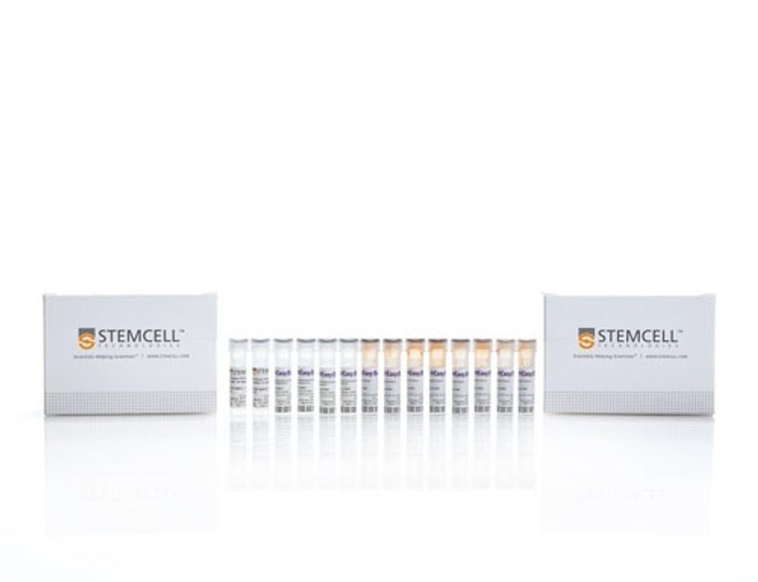 EasySep™ Human Plasmacytoid DC Enrichment Kit - STEMCELL Technologies Inc. - Life Sciences