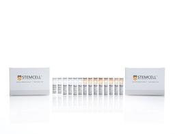 EasySep™ Human Plasmacytoid DC Enrichment Kit - STEMCELL Technologies Inc. - Life Sciences