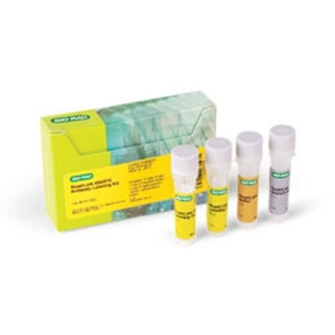 ReadiLink 555/570 Antibody Labeling Kit - Bio-Rad - Life Sciences