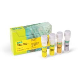 ReadiLink 555/570 Antibody Labeling Kit - Bio-Rad - Life Sciences