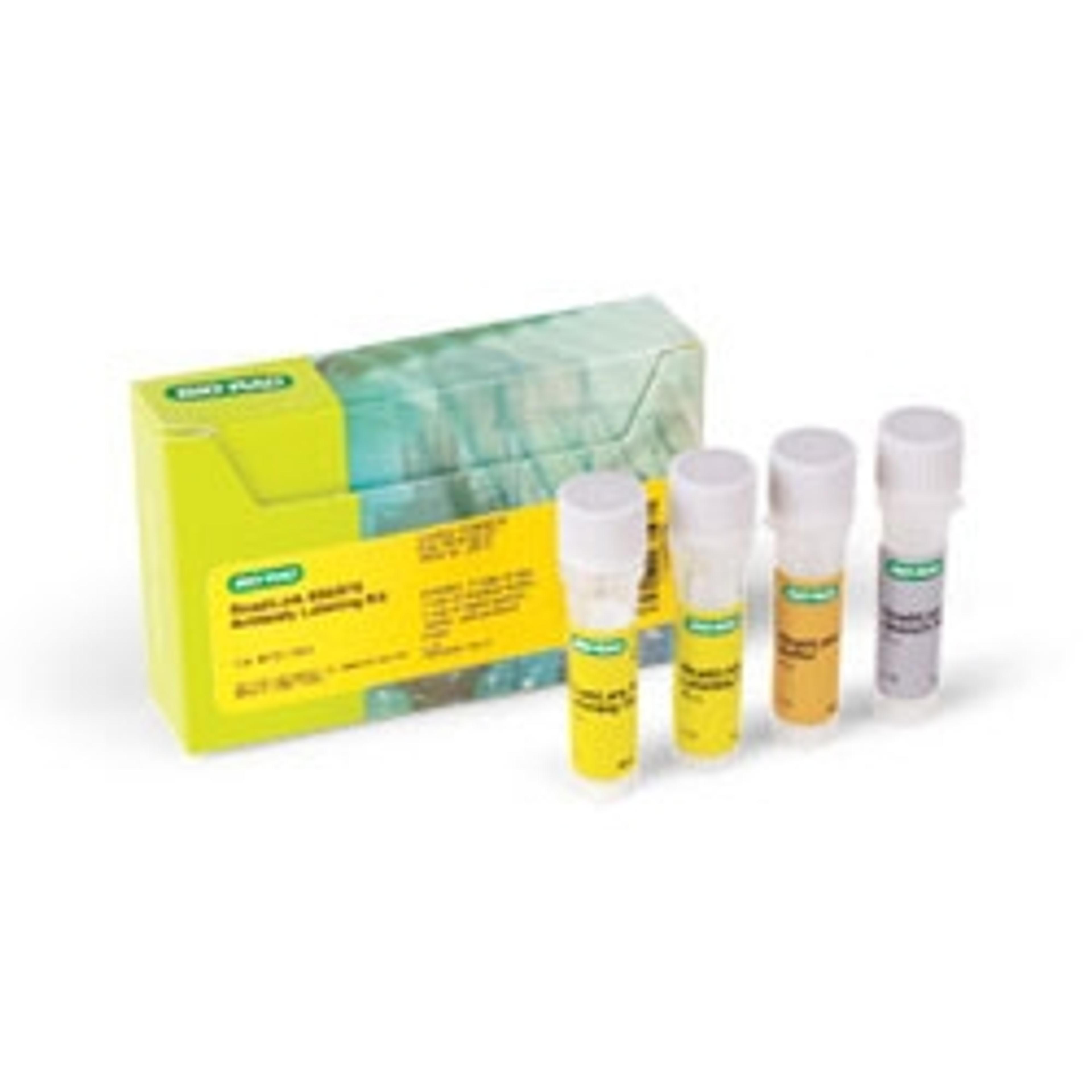ReadiLink 555/570 Antibody Labeling Kit - Bio-Rad - Life Sciences