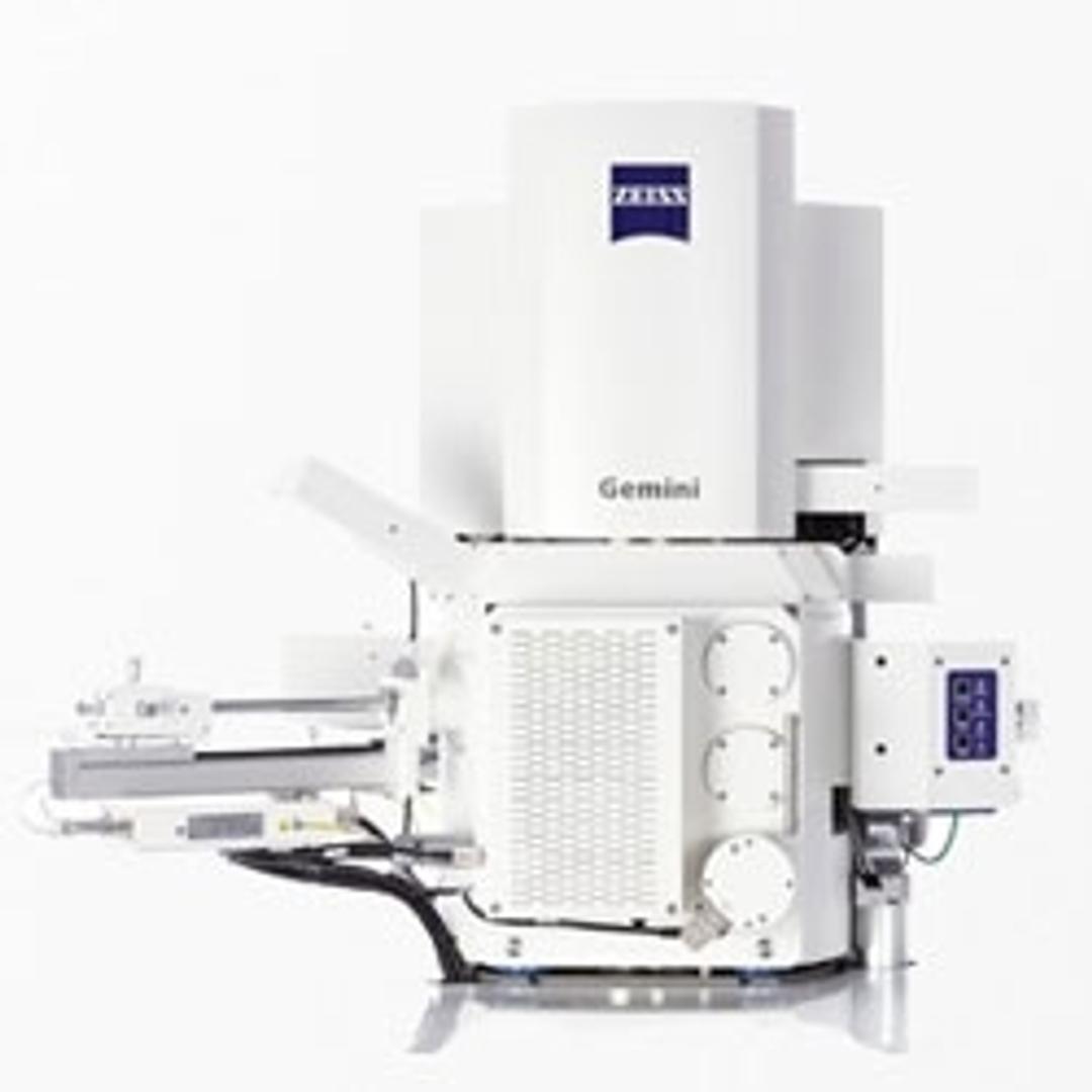 ZEISS GeminiSEM for Life Sciences - ZEISS Research Microscopy Solutions - Life Sciences