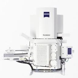 ZEISS GeminiSEM for Life Sciences - ZEISS Research Microscopy Solutions - Life Sciences