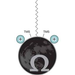 Luna Omega PS C18 - Phenomenex Inc - Separations