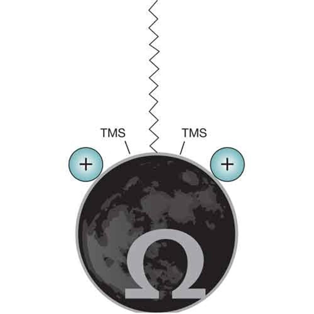 Luna Omega PS C18 - Phenomenex Inc - Separations